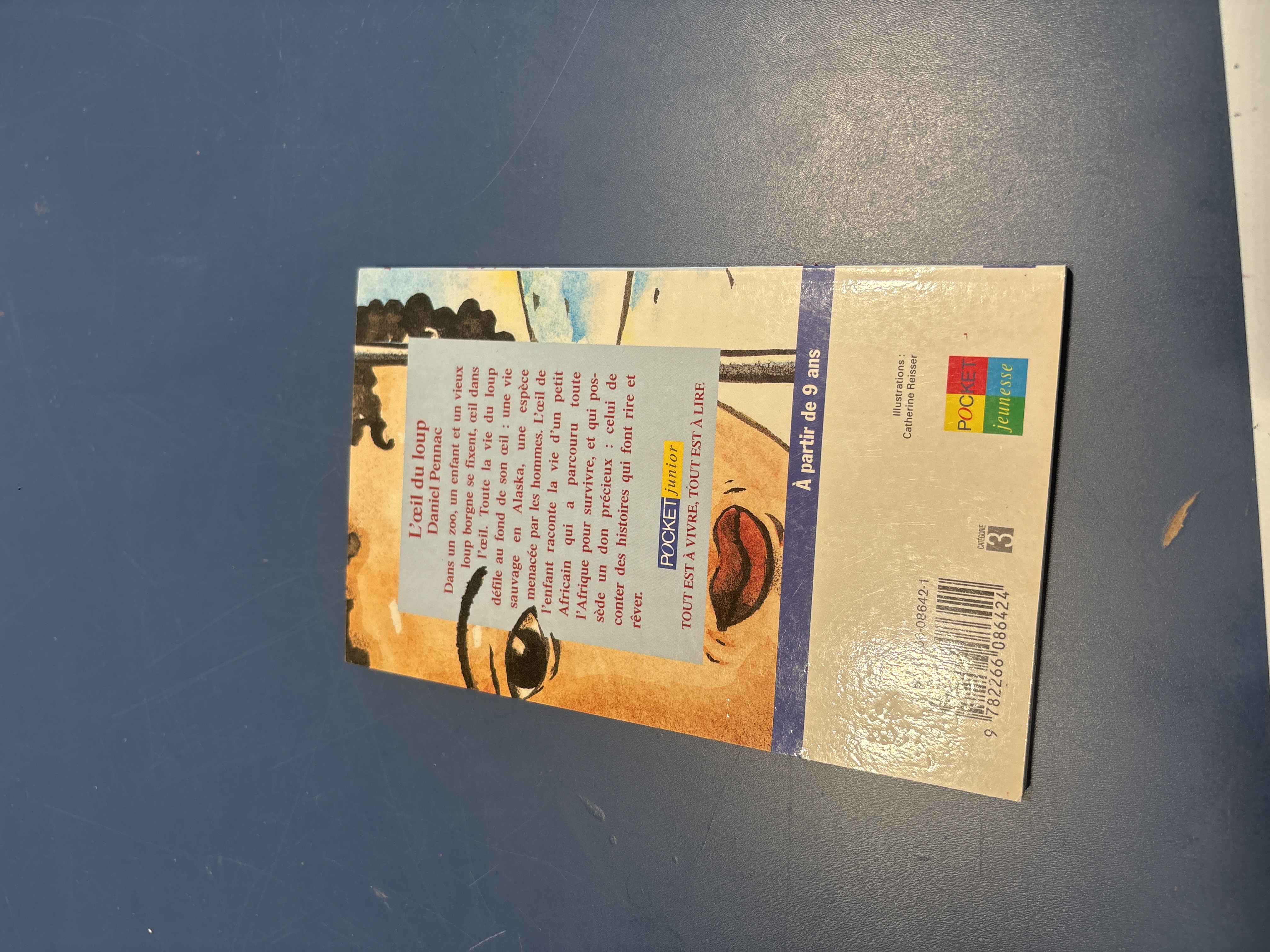 image-6a74915cd23e4591374208.jpg